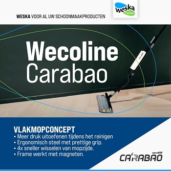 Wecoline Carabao vlakmopconcept